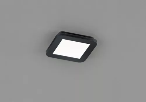 Trio CAMILLUS R62931032 Plafonlámpa 1x10w/led 3000k 850lm ip44
