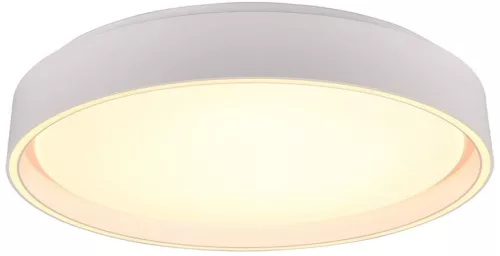 Trio FELIS R64391031 Plafonlámpa 1x24w/led 2700-6500K 2500lm ip20