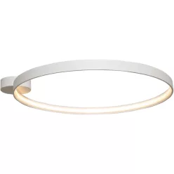   Zuma Line CIRCLE LA0769 Plafonlámpa 1x30W/LED 3000K 3870LM IP20